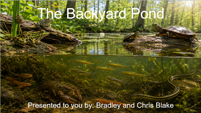 Bradley's pond pitch deck